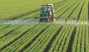 Pashinyan announced a decline in Armenia’s agriculture and outlined its future development plans